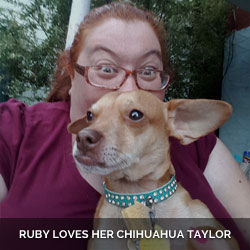 Ruby loves her chihuahua Taylor