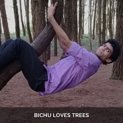 Bichu Loves trees